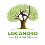 Locandro Elagage